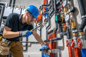 Professional Plumbing Services