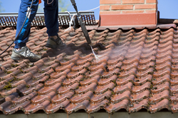 Clean Dutch gable roof with algae-free surfaces