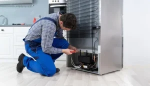 Refrigerator Service